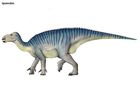 Image Iguanodon By Cisiopurple D9mlrdzpng Jurassic Park Wiki