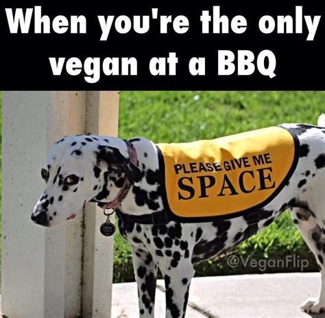 When Youre The Only Vegan At A Bbq Vegan Meme Vegan Humor Vegan