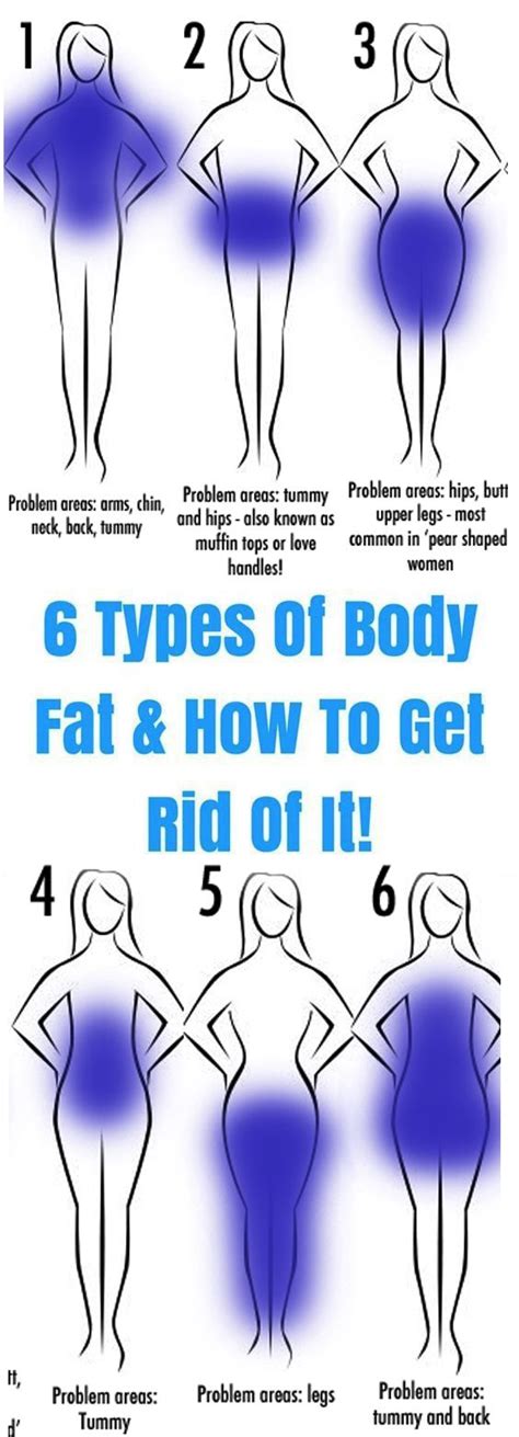 Here Are 6 Types Of Body Fat And How To Get Rid Of It Stylelos