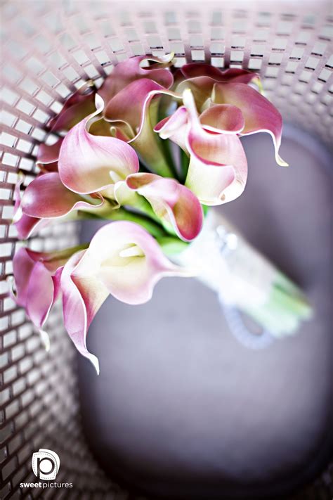 Miliaran bunga tulip paling indah dibudidayakan di seluruh dunia dimana mayoritas diekspor dari belanda. 35 Inspirasi Bunga Tangan Untuk Si Pengantin! - Sweetpictures