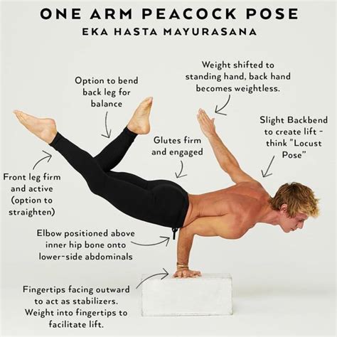 Yoga Arm Balance Poses Yoga De