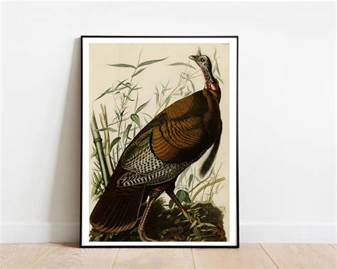 Wild Turkey By John James Audubon Digitally Remastered Etsy