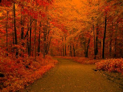 Fall Backgrounds Image Wallpaper Cave