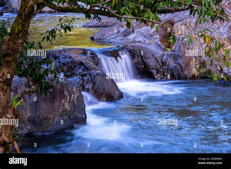 Rainforest Creek At Crystal Cascades Cairns North Queensland Stock