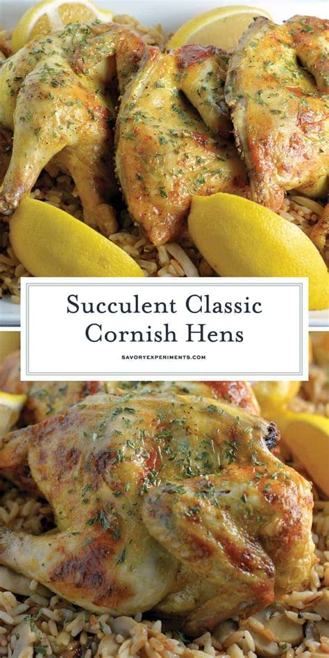 1000 ideas about cornish hen recipe on pinterest. Classic Cornish Hens A Delicious Cornish Hen Recipe - Classic Cornish Hens are perfect for ...