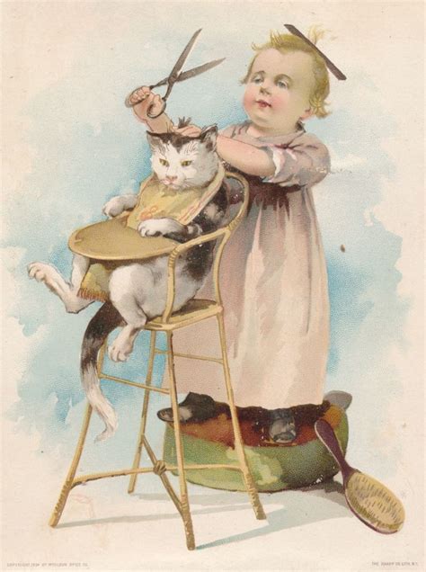 27 Best Images About Victorian Pets On Pinterest Cats