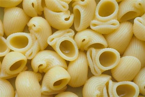 Lumache Pasta High Quality Food Images ~ Creative Market