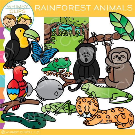 Rainforest Animals Clip Art Images And Illustrations Whimsy Clips