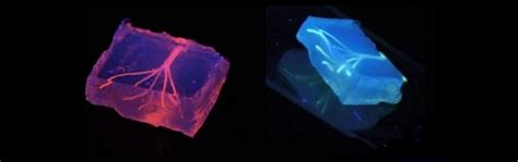 3d Printed Blood Vessels Are A Thing Now And Theyre Made Of Gel