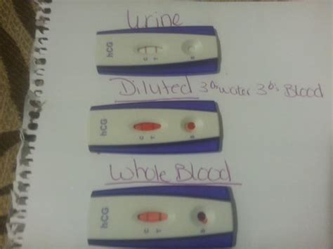 Learn how to take a pregnancy test, how soon you can take a pregnancy test and how accurate pregnancy tests are. Anyone ever try using blood instead of urine on an hpt ...