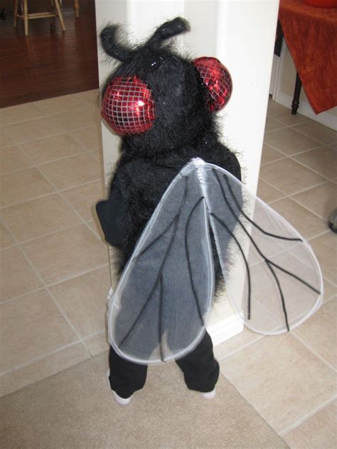 Pin By Tuchi 🐈 On Someday Halloween Costumes Fly Costume Firefly