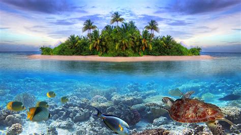 1080p Tropical Landscape Wallpapers Wallpapersafari