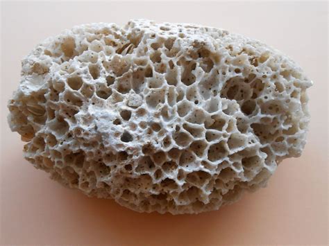 Stone with holes, Natural sea stone, Stone for Aquarium, Hole Beach stone, Natural sea stone 