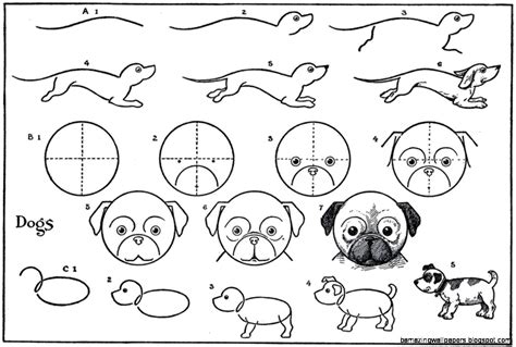 Weir river farm was the home of polly thayer starr, whose paintings and drawings have been exhibited and admired at museums in boston, new york, and philadelphia for more than 70 years. Easy Cute Step By Step Animal Drawings | Amazing Wallpapers