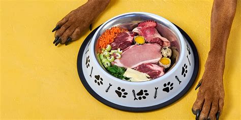 Dieta Barf Para Perros Qué Es Beneficios Y Cómo Se Hace