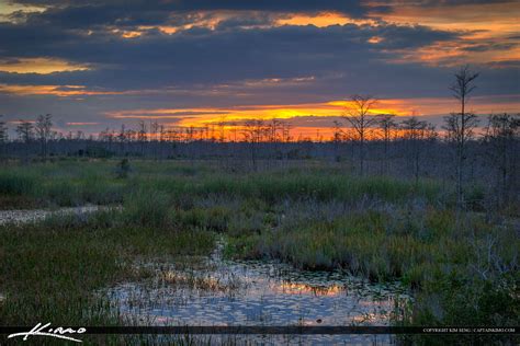 Florida Sunset Over Wetlands Marsh At The Slough Hdr Photography By
