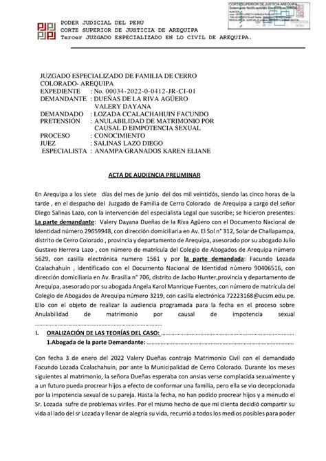 Acta De Audiencia Preliminar Corte Superior De Justicia De Arequipa