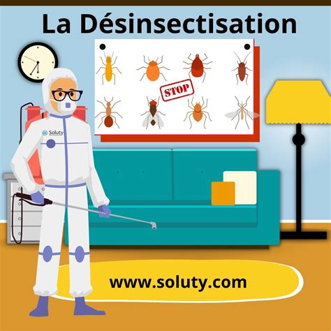 Désinsectisation à Poitiers Exterminateur Insectes Nuisibles Soluty