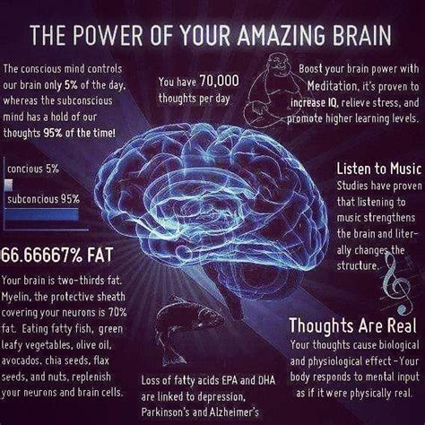 25 Fun Facts About The Brain Psychology Human Mind Facts Legacybox In