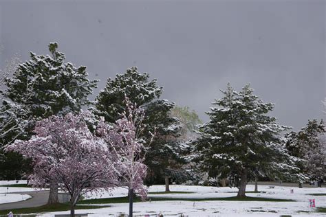 Snowy Spring Day Millcreek Flickr
