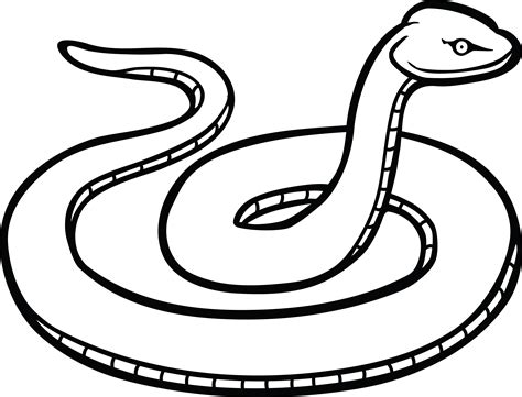 Coiled Rattlesnake Drawing At Getdrawings Free Download