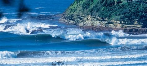 Avoca Beach Surf