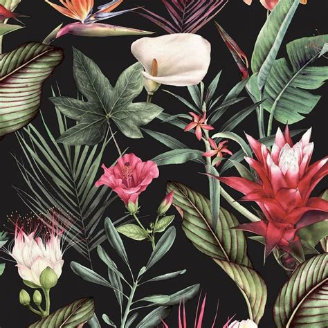 Debona Flora Tropical Jungle Leaf Floral Wallpaper Black 5070