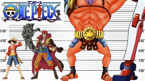 One Piece Size Comparison Biggest Characters Of One Piece