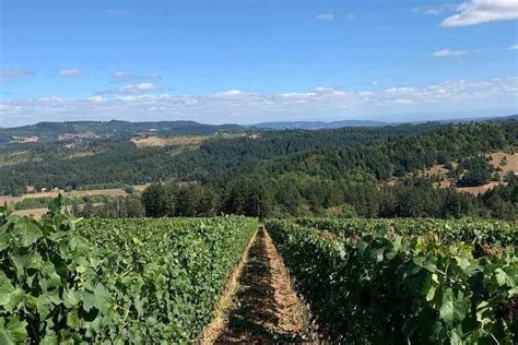 Willamette Valley Wine Tour 2023 Top 10 Winieries To Visit