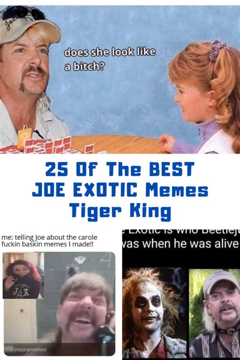 Best Joe Exotic Memes Netflix S Tiger King Guide For Geek Moms