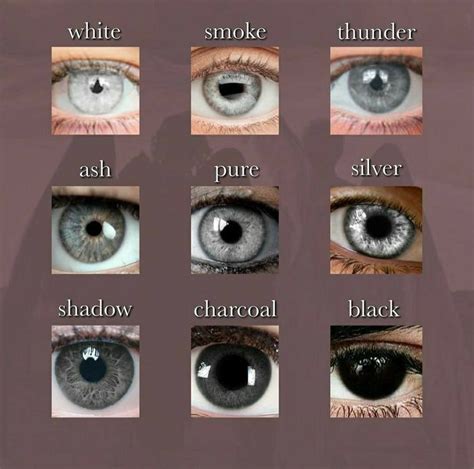 Overview Of Eye Color Depictions Artofit