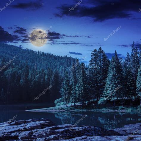 Pine Forest And Lake Near The Mountain At Night Stock Photo By