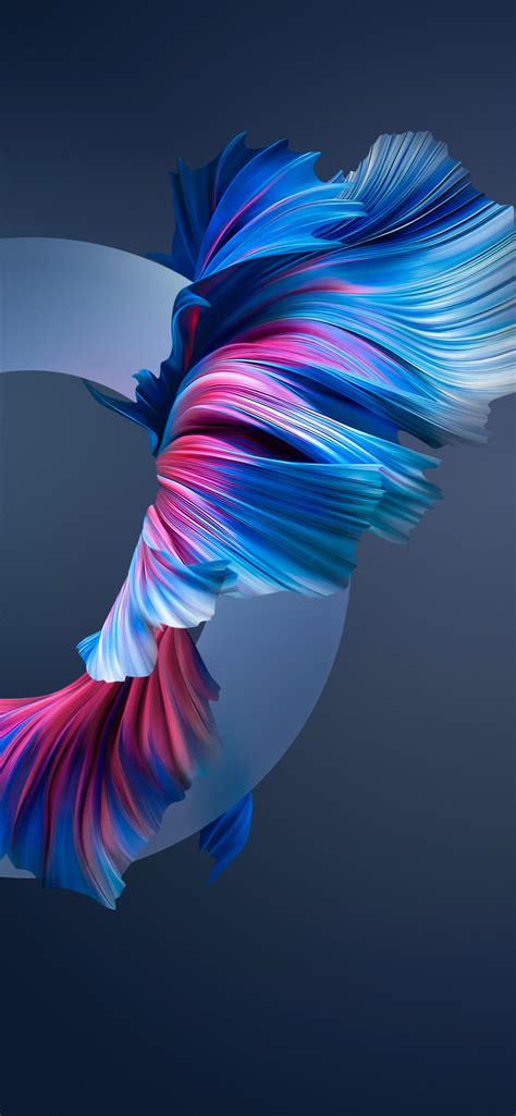 Download 可愛いよな 眠り損ねた日にする事 金魚草 Images For Free