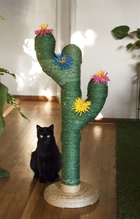 But no matter the cactus' size and regardless of how much or little water that it holds, the cactus devotes over 90% of its inside body parts to handling, circulating. Saguaro Cactus Scratching Post for Cats | Diy cat ...
