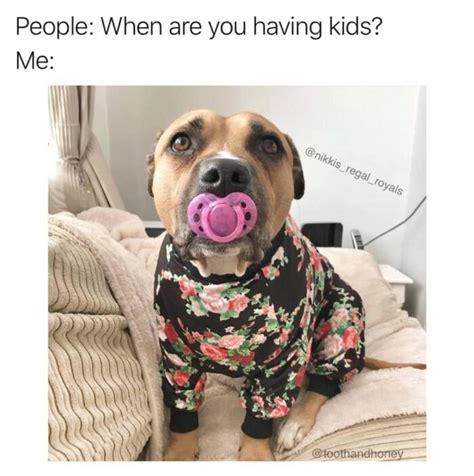 Life With Dogs 18 Memes That All Dog Parents Will Laugh At