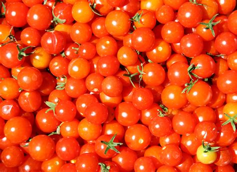 Filecherry Tomatoes