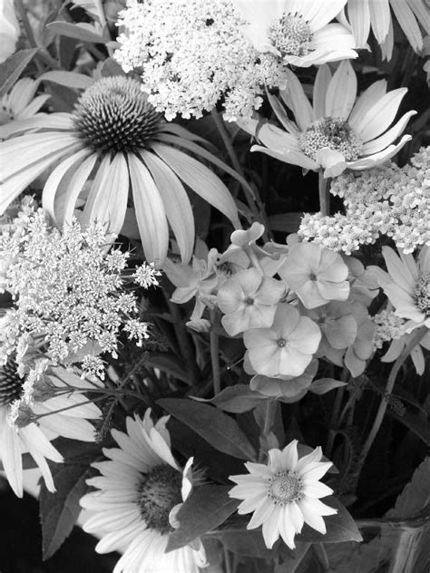 Black And White Photography Flowers Bing Images Black And White