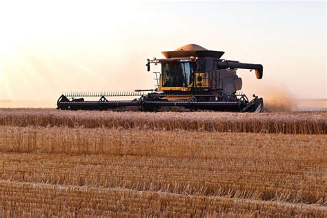 Wheat Harvesting In Australia Finchys Australia