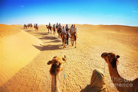 People In The Sahara Desert Photograph By Adisa Pixels