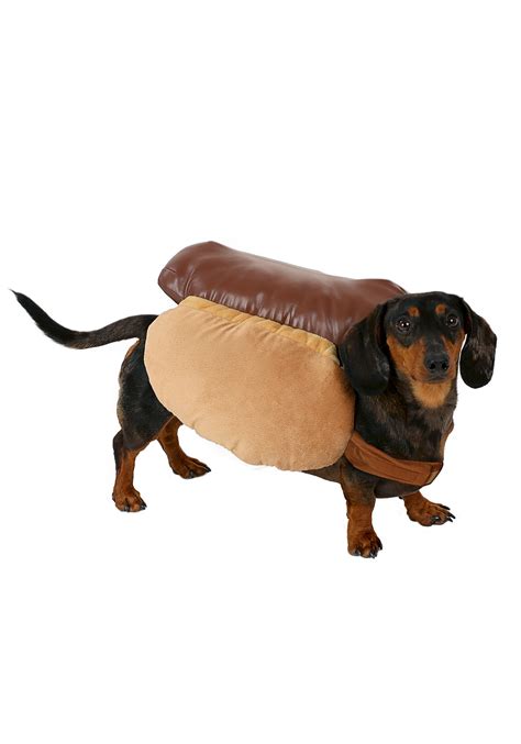 Weiner Dog In Hot Dog Costume Bmp We