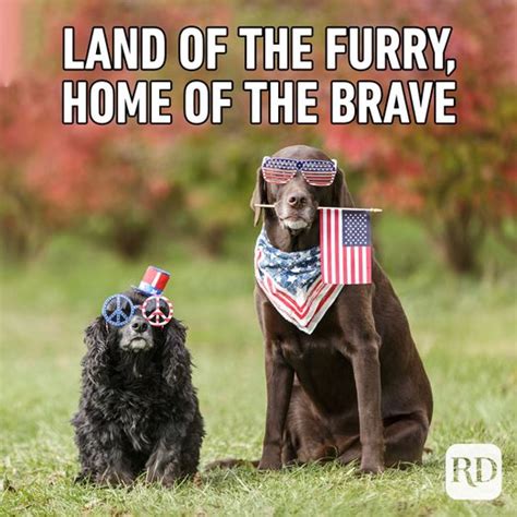 35 Funny 4th Of July Memes Worth Sharing Readers Digest