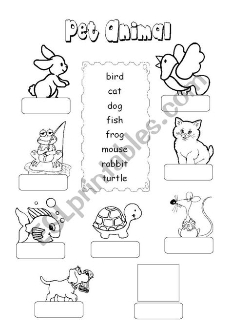 Pet Animal Esl Worksheet By Tthappy