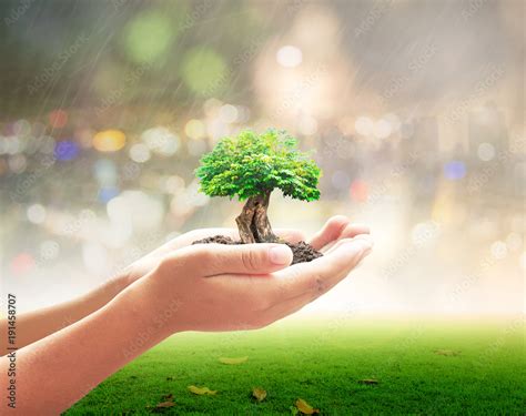 World Environment Day Concept Human Hand Holding Big Tree Over