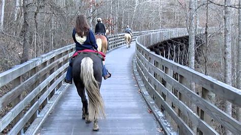 Most of our cabins are within a short distance of each other. Bridge on Virginia Creeper Trail - YouTube
