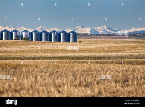Shiny Metal Grain Bins In Stubble Field With Snow Covered Mountains In