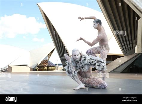 sydney australia 7th june 2022 bangarra dance theatre celebrates the 10th anniversary of