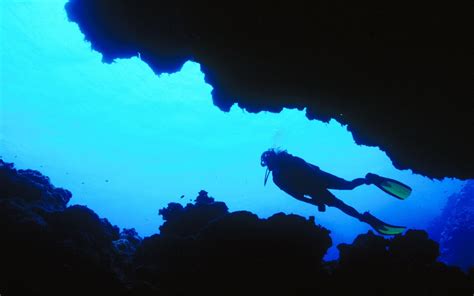 Fiji Diving To Explore Sea Caves Wallpaper 1920x1200 Download