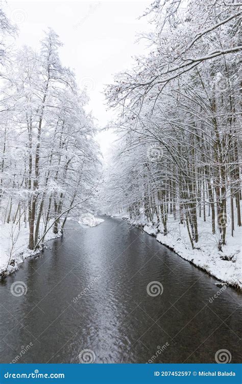 Wonderful Winter Scene Frosty Misty Morning On The Small River Frost