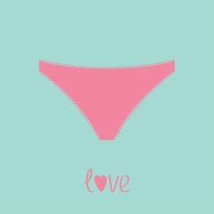 Pink Womens Underwear Panties Love Card N Free Image Download
