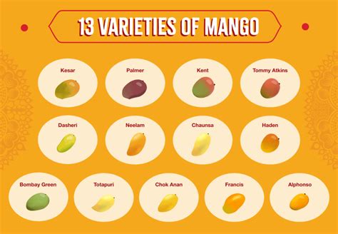 The King Of Fruit 13 Mouthwatering Mango Varieties Sukhis